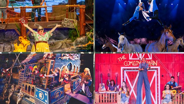 Which Dinner Show Is on Your Vacation Menu?