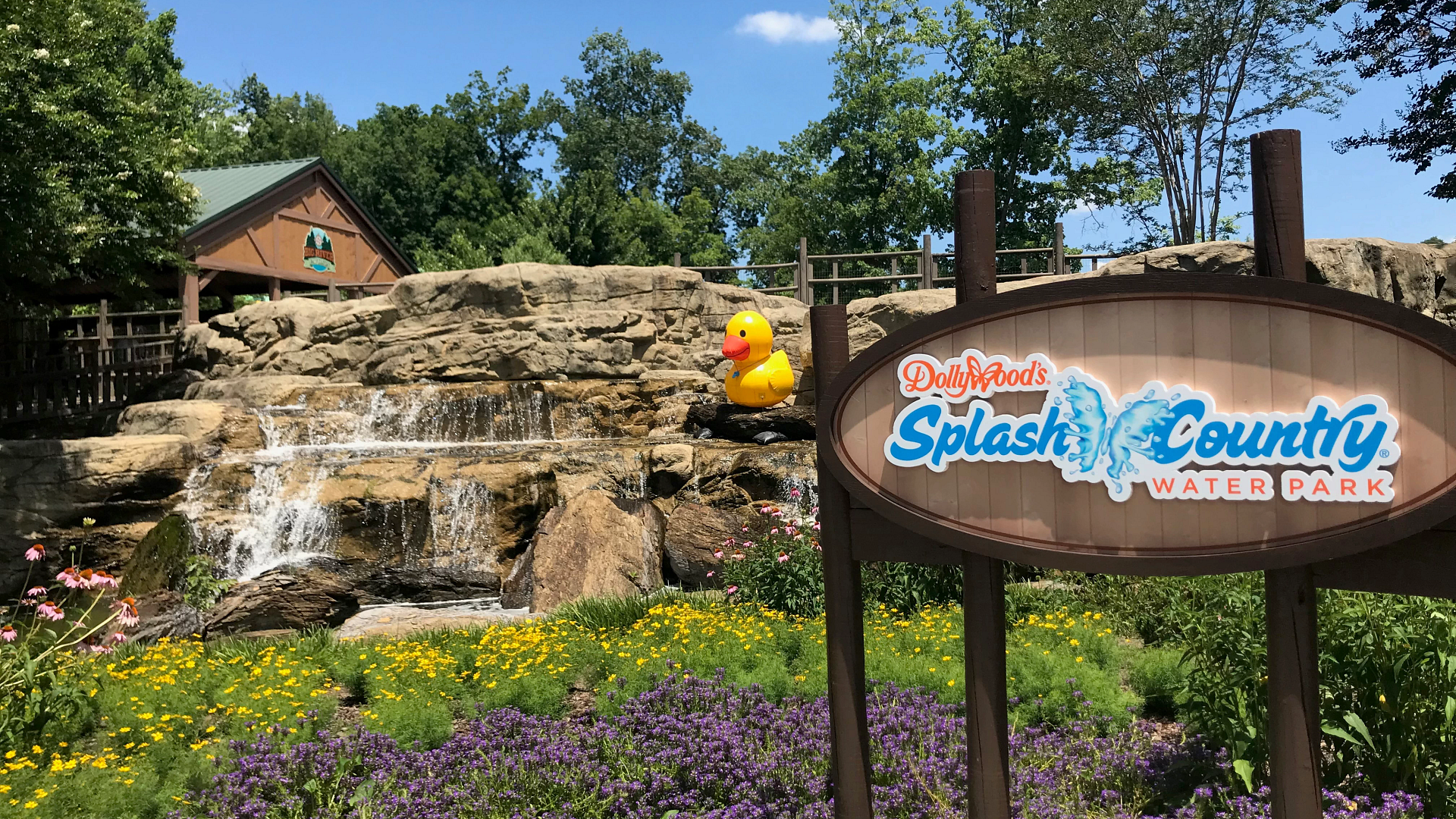 I Wouldn’t Do Dollywood’s Splash Country Without These Items