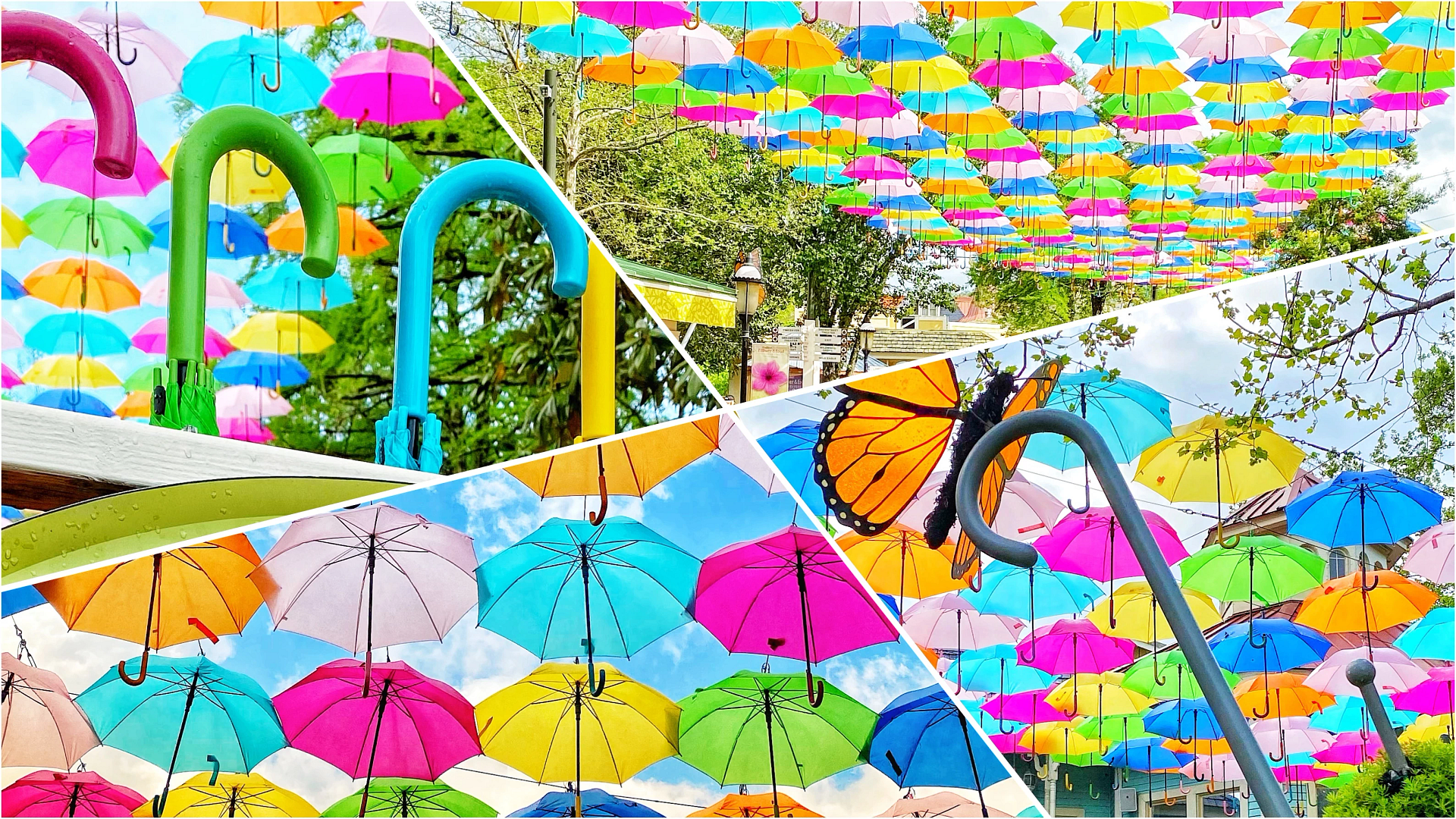 Under an Umbrella Sky at Dollywood
